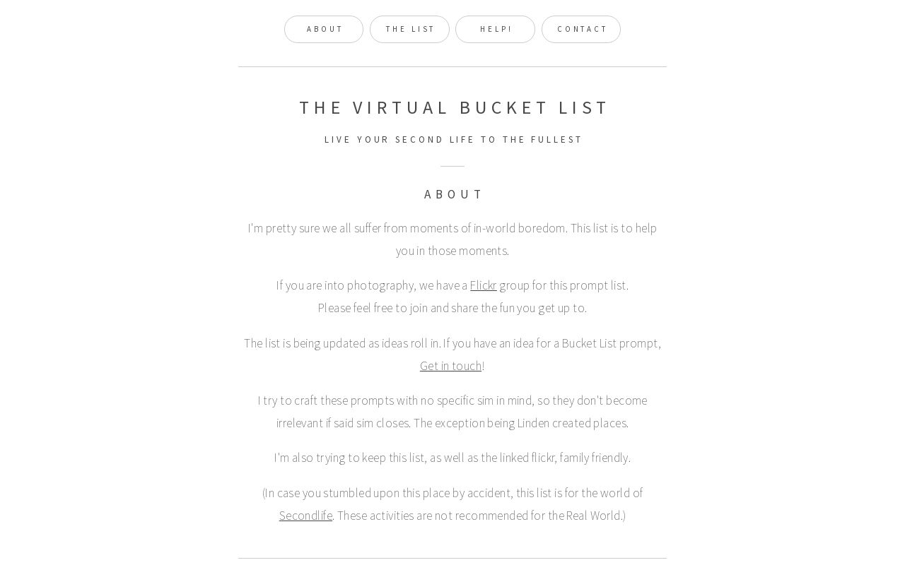 The Virtual Bucket List